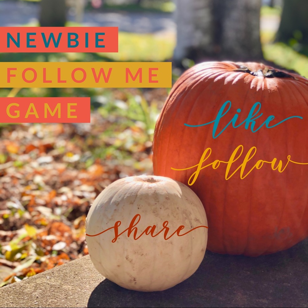 NEWBIE FOLLOW ME GAME